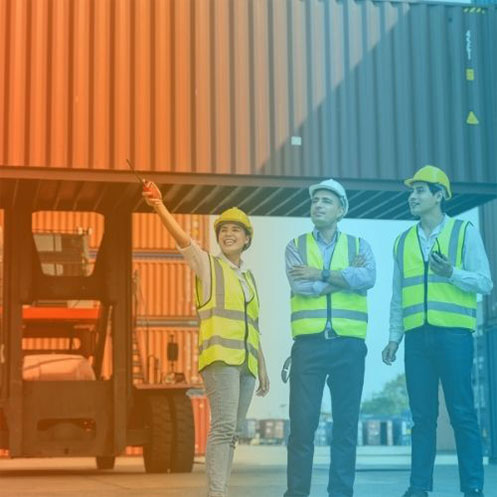 Customs Clearance & DGFT Consultant Mumbai Pune Delhi — container yard inspection