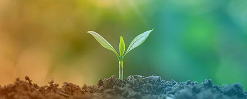 Customs Clearance & DGFT Consultant Mumbai Pune Delhi — business growth and beginning