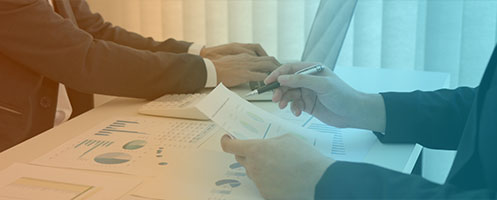 Customs Clearance & DGFT Consultant Mumbai Pune Delhi — documentation and trade reports