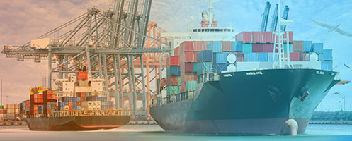 Customs Clearance & DGFT Consultant Mumbai Pune Delhi — cargo ship and port logistics