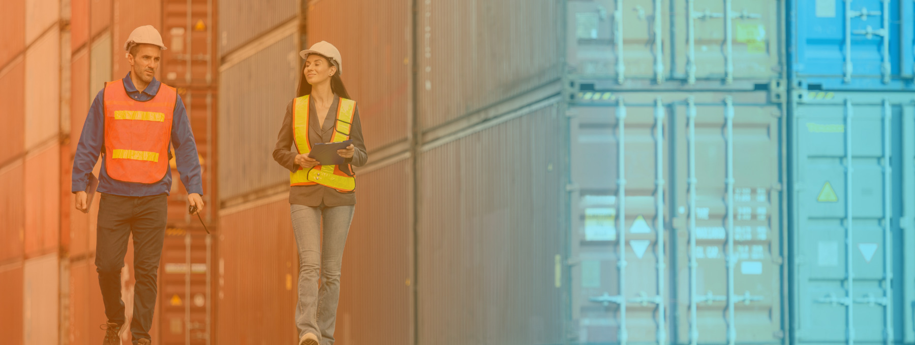 Export Import Consultancy